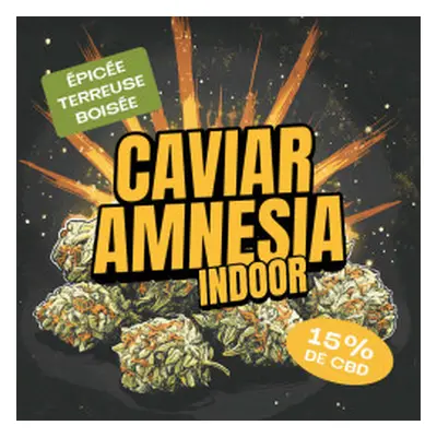 Caviar Amnésia Indoor - StreetShop Lab 10g - Le Dispensaire : nos produits CBD en vente