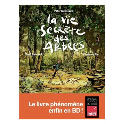 La vie secrète des arbres en BD