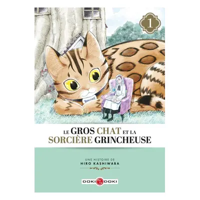 Le gros chat et la sorcière grincheuse tome 1