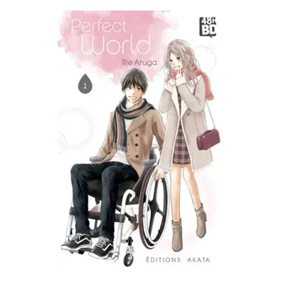 Perfect world tome 1 (48h BD)