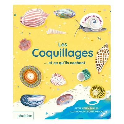 Les coquillages... et ce qu'ils cachent