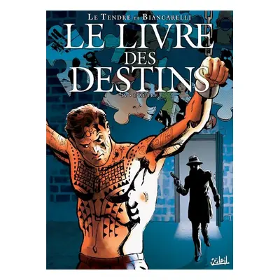 Le livre des destins Tome 4 ; l'autre