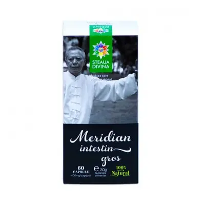 Méridien ontestin gros, 60 gélules, Divine Star