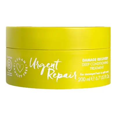 Umberto Giannini Masque réparateur pour cheveux abîmés et pointes fourchues, 200 ml