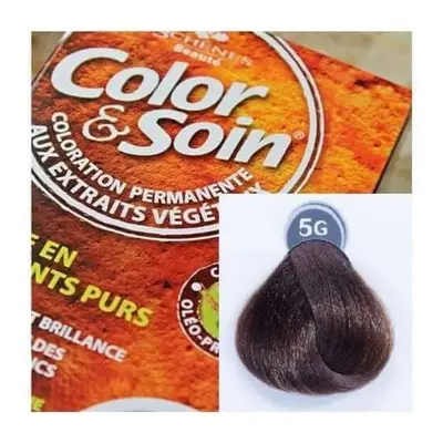 Color & Soin teinture pour cheveux (gris doré clair) 5G 135ml