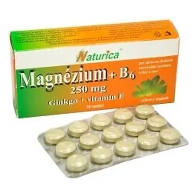 Naturica MAGNEZIUM 250 mg+B6+Ginkgo+vitamine E 1×30 tbl, complément alimentaire