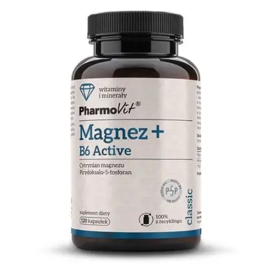 Magnésium + B6 Actif 120 gélules Pharmovit Classic