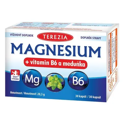 Theresa Magnésium + vitamine B6 et mélisse 30 gélules