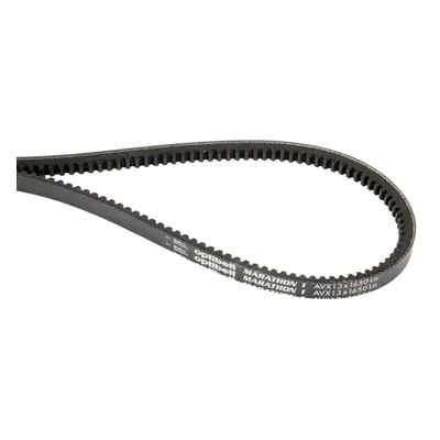 Courroie trapézoïdale crantée AVX 13x1525 - Optibelt