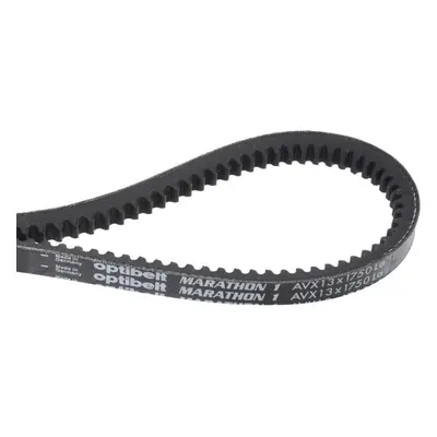 Courroie trapézoïdale crantée AVX 13x1775 - Optibelt