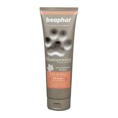 Hygiène Chien Beaphar shampooing premium éclat du pelage 250 ml