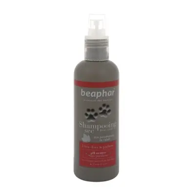 Hygiène Chat Beaphar shampooing sec premium 200 ml