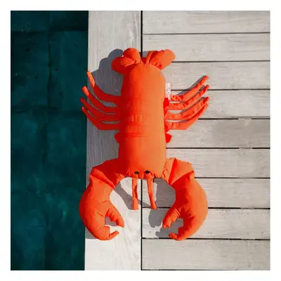 Coussin d'Extérieur Haut de Gamme Homard Orange S