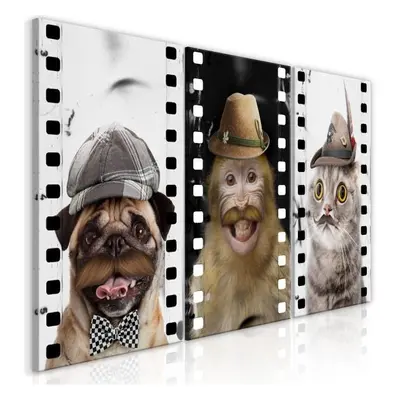 Tableau Funny Pets Collection