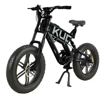 KUGOO T01 Vélo Électrique 20 pouces 48V 500W 38Km/h 13Ah Batterie Noir