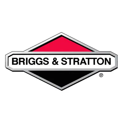 Jeu Joints Moteur Briggs et Stratton - 796187 0024847679236