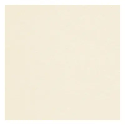 Papier Conqueror Wove Cream 300g/m² 720mm x 1020mm