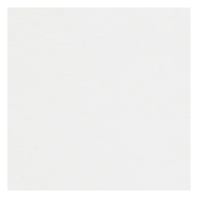 Papier de création Rives Dot Extra Blanc 170 g/m² 700 mm x 1000 mm