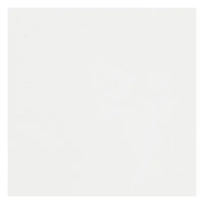 Papier de création Sensation Tradition Gloss Extra Blanc 170 g/m² 700 mm x 1000 mm Palette cube