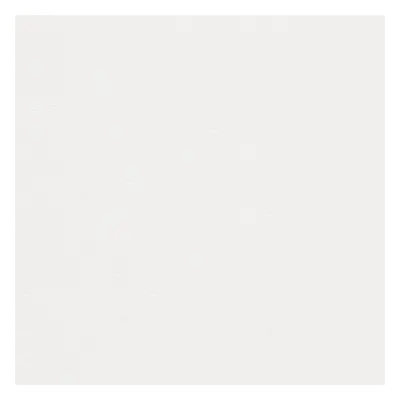 Papier Conqueror Wove Digital Brilliant White 300g/m² 530mm x 750mm