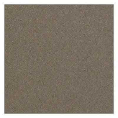 Papier couleur Pop'Set Virgin Pulp Urban Grey 170 g/m² 700 mm x 1000 mm