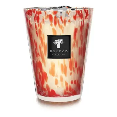 Bougie Parfumée Coral Pearls Max 24 - Baobab Collection