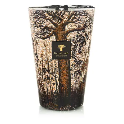 Bougie Parfumée Sacred Trees Morondo Max 35 - Baobab Collection