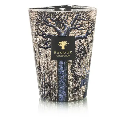 Bougie Parfumée Sacred Trees Seguela Max 24 - Baobab Collection