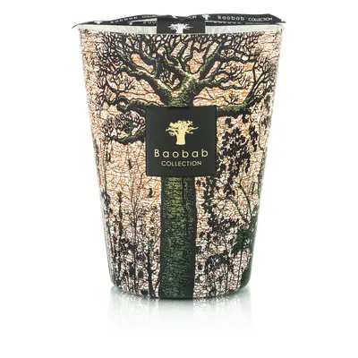 Bougie Parfumée Sacred Trees Kani Max 24 - Baobab Collection