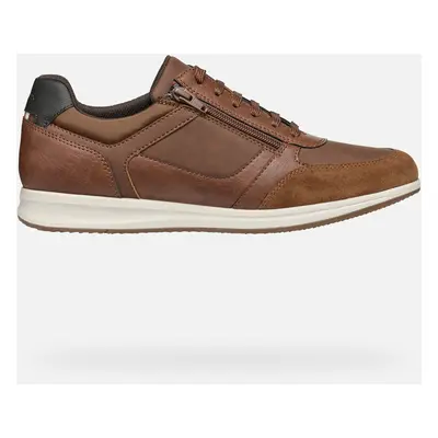 GEOX Avery Homme Cognac