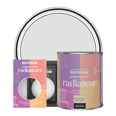 Peinture pour Radiateur, Finition Brillante - Gris Papier