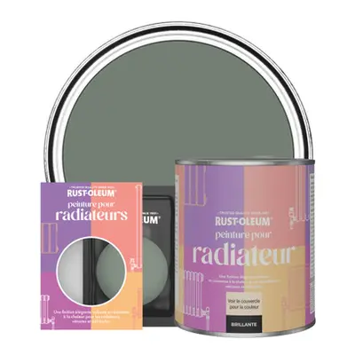 Peinture pour Radiateur, Finition Brillante - Sérénité