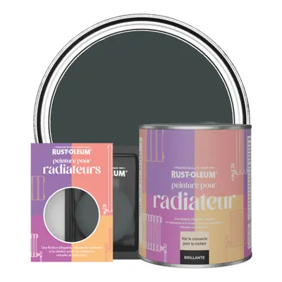 Peinture pour Radiateur, Finition Brillante - Sable Noir