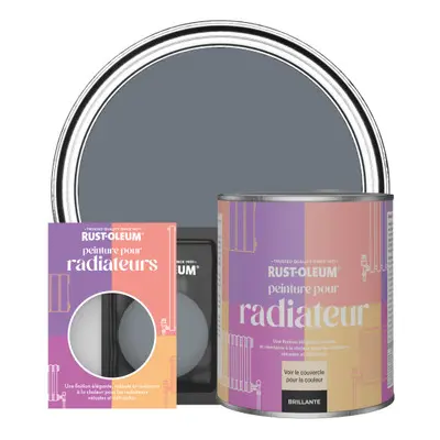 Peinture pour Radiateur, Finition Brillante - Gris Marine