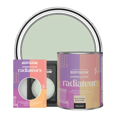 Peinture pour Radiateur, Finition Brillante - Vert Laurier