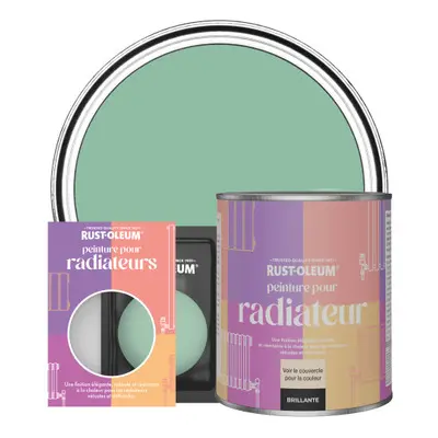 Peinture pour Radiateur, Finition Brillante - Wanderlust