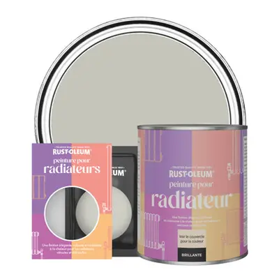 Peinture pour Radiateur, Finition Brillante - Brume