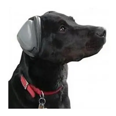 Casque antibruit pour chien