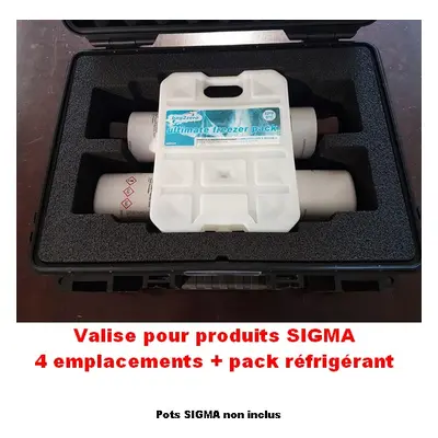 Valise de transport réfrigérée pour produits SIGMA