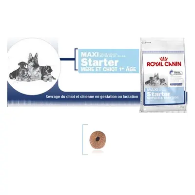 Maxi Starter - Royal Canin pour chiot