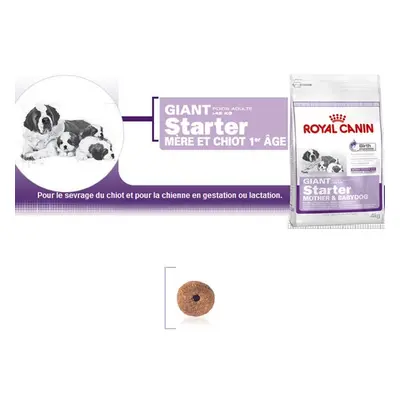 Giant Starter - Royal Canin pour chiot