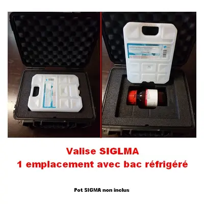 Valise de transport réfrigérée pour produits SIGMA