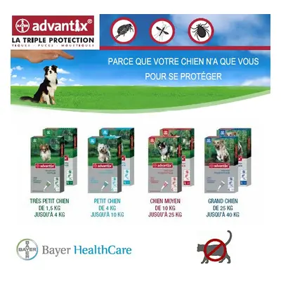 Advantix traitement anti tiques, anti puces, anti moustiques