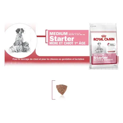 Medium Starter - Royal Canin