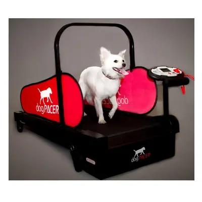 Mini DogPacer - Tapis roulant, Home Trainer pour chiens