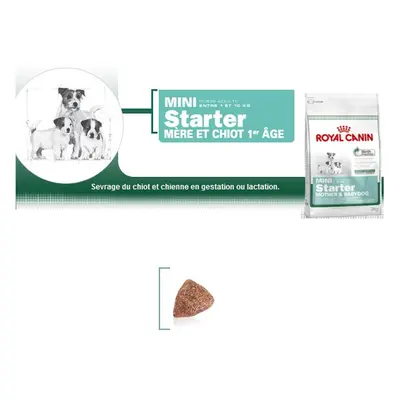 Mini Starter - Royal Canin