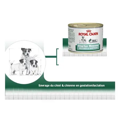 Wet Starter Mousse - Royal Canin