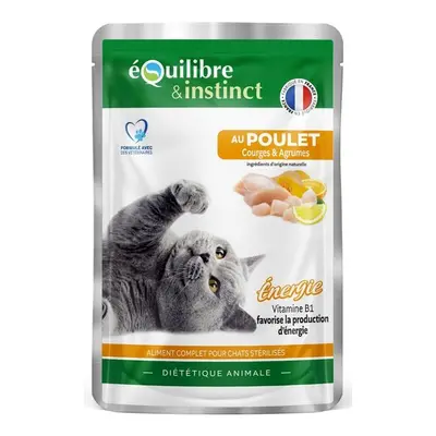 Equilibre & Instinct - Effilés sauce poulet, courges, agrumes