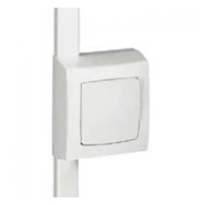 Legrand - cadre appareillage saillie 1 poste pour pose sur moulure dlplus épaisseur 20mm - blanc