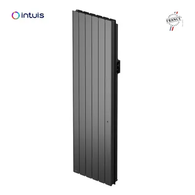 Radiateur vertical beladoo nativ avec puissance de 2000 watts en couleur anthracite